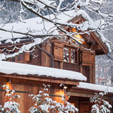 Tiki through the snow